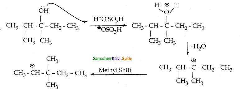 Samacheer Kalvi 12th Chemistry Guide Chapter 11 Hydroxy Compounds and Ethers 61