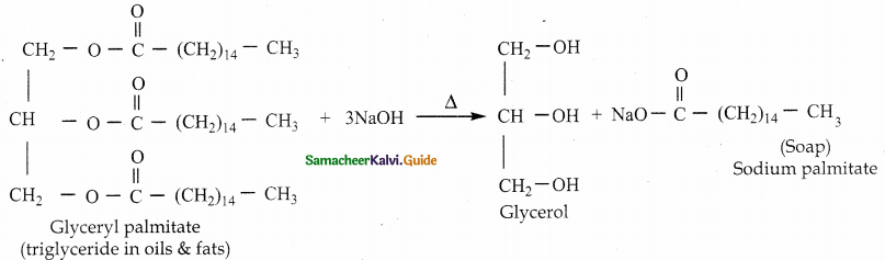 Samacheer Kalvi 12th Chemistry Guide Chapter 11 Hydroxy Compounds and Ethers 88