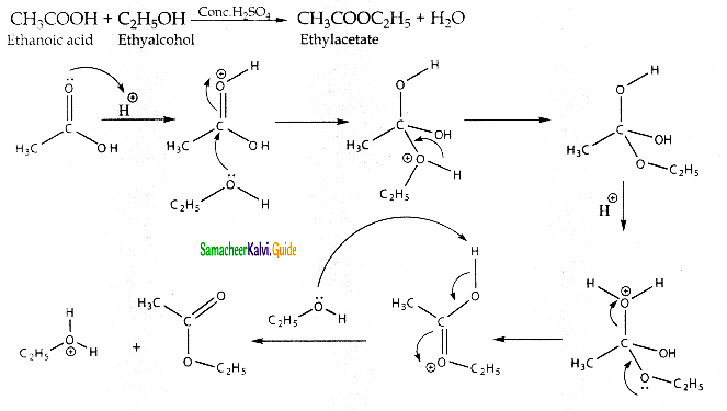 Samacheer Kalvi 12th Chemistry Guide Chapter 12 Carbonyl Compounds and Carboxylic Acids 139