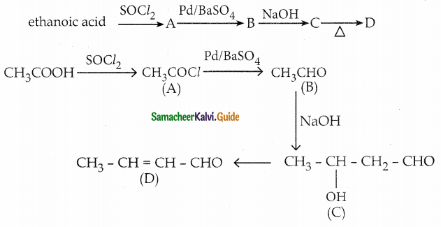 Samacheer Kalvi 12th Chemistry Guide Chapter 12 Carbonyl Compounds and Carboxylic Acids 49