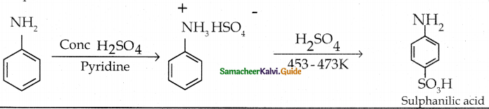 Samacheer Kalvi 12th Chemistry Guide Chapter 13 Organic Nitrogen Compounds 117