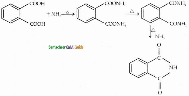 Samacheer Kalvi 12th Chemistry Guide Chapter 13 Organic Nitrogen Compounds 28