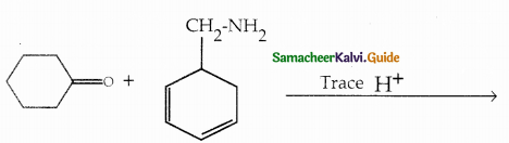 Samacheer Kalvi 12th Chemistry Guide Chapter 13 Organic Nitrogen Compounds 65