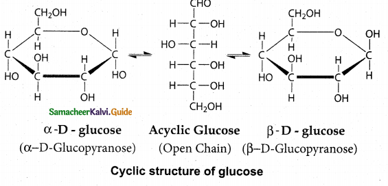 Samacheer Kalvi 12th Chemistry Guide Chapter 14 Biomolecules 15