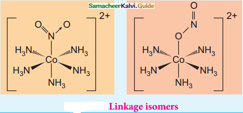 Samacheer Kalvi 12th Chemistry Guide Chapter 5 Coordination Chemistry 10