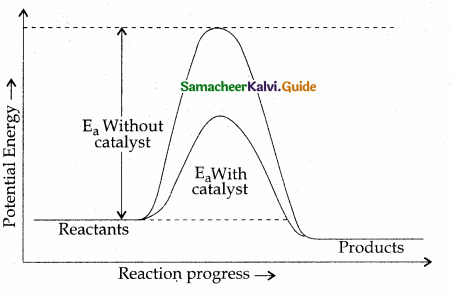 Samacheer Kalvi 12th Chemistry Guide Chapter 7 Chemical Kinetics 31