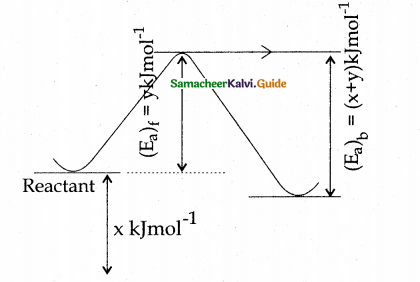 Samacheer Kalvi 12th Chemistry Guide Chapter 7 Chemical Kinetics 6