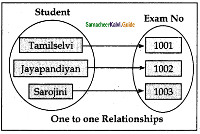 Samacheer Kalvi 12th Computer Science Guide Chapter 11 Database Concepts 7