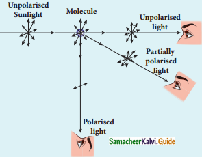 Samacheer Kalvi 12th Physics Guide Chapter 6 Optics 32