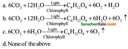 Samacheer Kalvi 11th Bio Botany Guide Chapter 13 Photosynthesis 2
