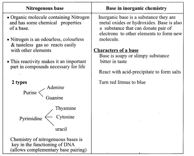 Samacheer Kalvi 11th Bio Botany Guide Chapter 8 Biomolecules TN Board