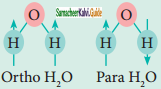 Samacheer Kalvi 11th Chemistry Guide Chapter 4 Hydrogen 7