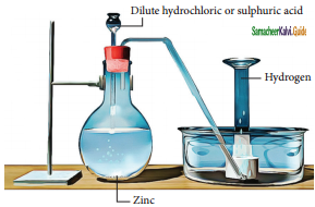 Samacheer Kalvi 11th Chemistry Guide Chapter 4 Hydrogen 8