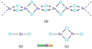 Samacheer Kalvi 11th Chemistry Guide Chapter 5 Alkali and Alkaline Earth Metals 2