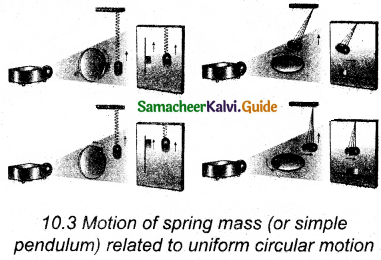 Samacheer Kalvi 11th Physics Guide Chapter 10 Oscillations 14