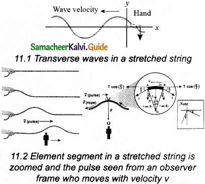 Samacheer Kalvi 11th Physics Guide Chapter 11 Waves 10