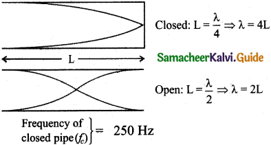 Samacheer Kalvi 11th Physics Guide Chapter 11 Waves 43