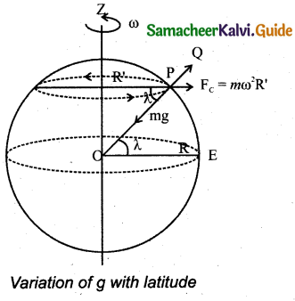 Samacheer Kalvi 11th Physics Guide Chapter 6 Gravitation 21