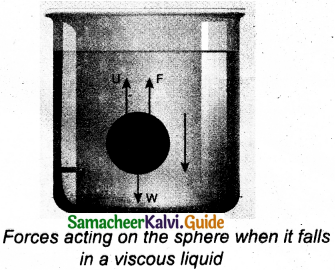 Samacheer Kalvi 11th Physics Guide Chapter 7 Properties of Matter 22