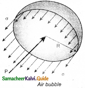 Samacheer Kalvi 11th Physics Guide Chapter 7 Properties of Matter 28