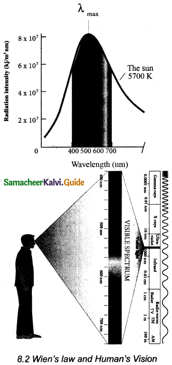 Samacheer Kalvi 11th Physics Guide Chapter 8 Heat and Thermodynamics 21