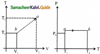 Samacheer Kalvi 11th Physics Guide Chapter 8 Heat and Thermodynamics 56