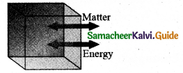 Samacheer Kalvi 11th Physics Guide Chapter 8 Heat and Thermodynamics 8