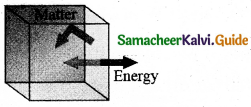 Samacheer Kalvi 11th Physics Guide Chapter 8 Heat and Thermodynamics 9