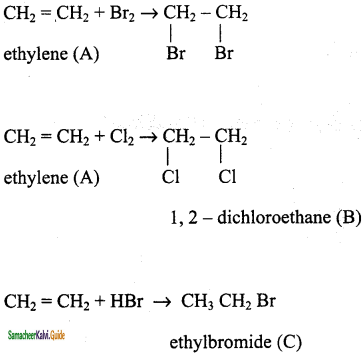 Samacheer Kalvi 11th Chemistry Guide Chapter 13 Hydrocarbons 175