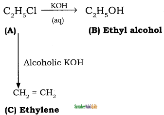 Samacheer Kalvi 11th Chemistry Guide Chapter 14 Haloalkanes and Haloarenes 62