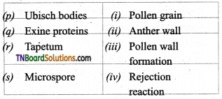 TN Board 12th Bio Botany Important Questions Chapter 1 Asexual and Sexual Reproduction in Plants 4