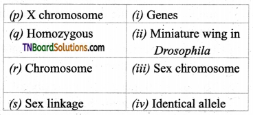 TN Board 12th Bio Botany Important Questions Chapter 3 Chromosomal Basis of Inheritance 7