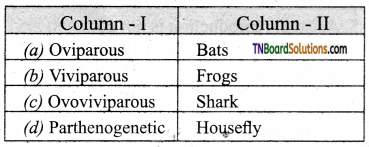 TN Board 12th Bio Zoology Important Questions Chapter 1 Reproduction in Organisms 13