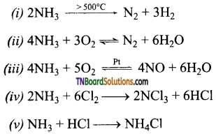 TN Board 12th Chemistry Important Questions Chapter 3 p-Block Elements – II 7